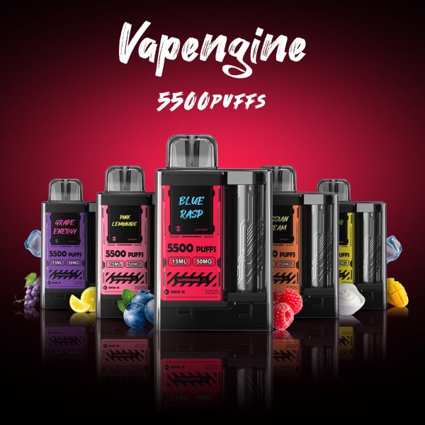 Vapengin 5500 Puff Rechargeable Disposable 5%