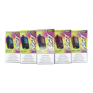 Nasty Surge 55K Rechargable Disposable 5%