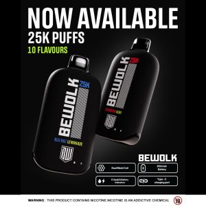 Bewolk 25K Rechargable Disposable